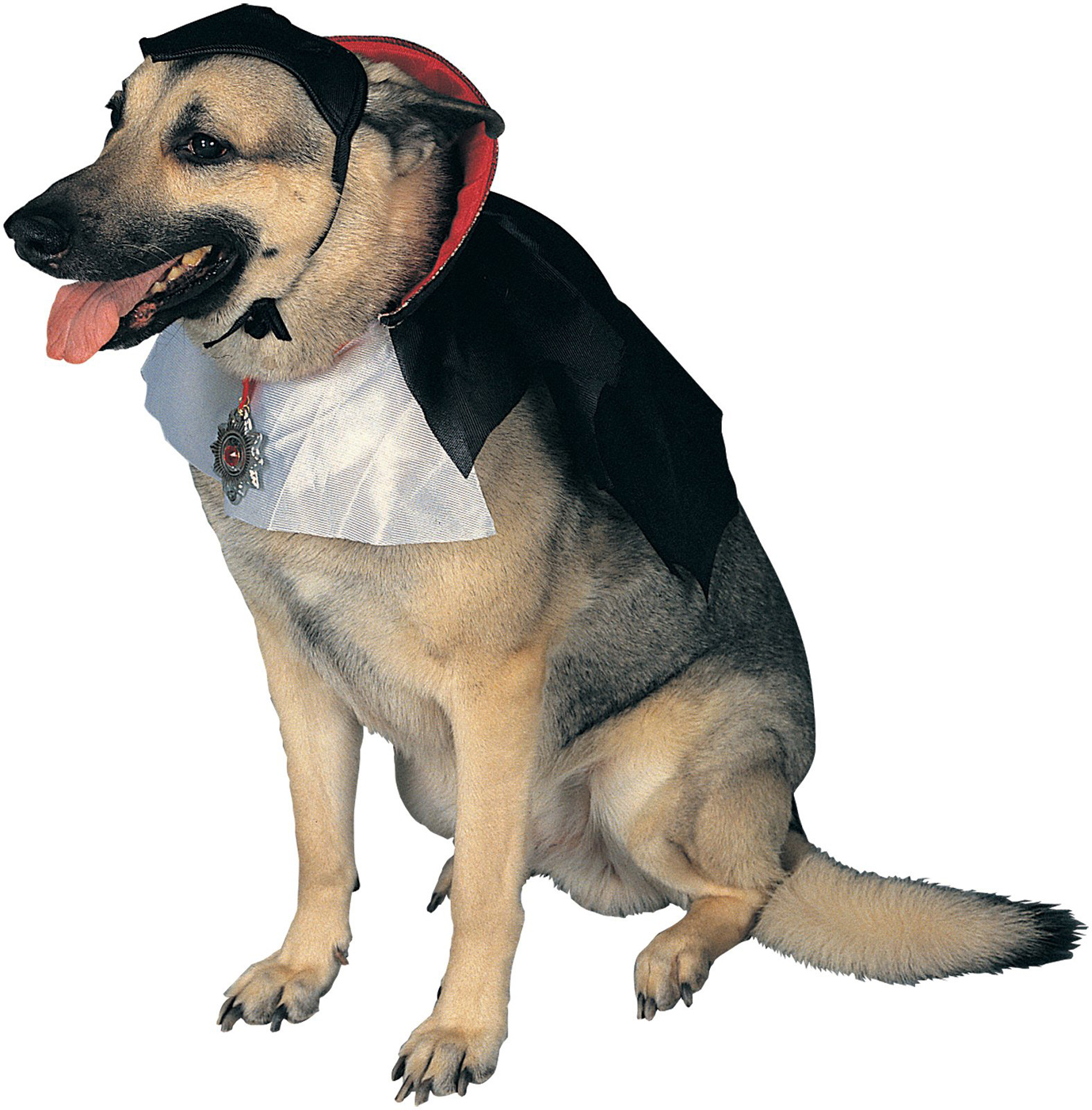 Dogula - A Vampire Dog Costume